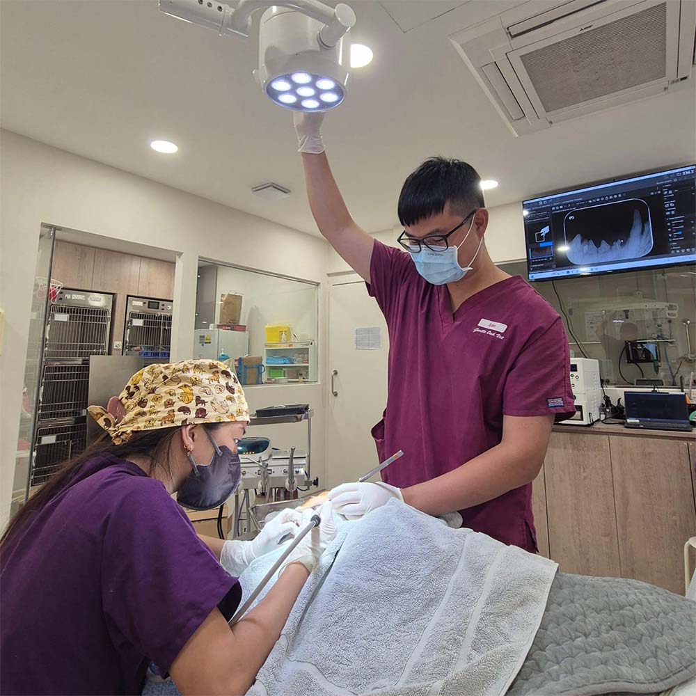 Integrative-Therapies-Pop-Up