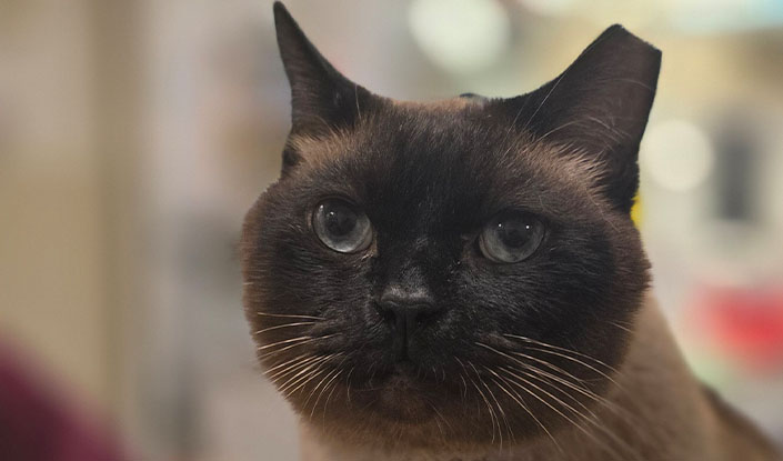 Service_Overview_Desktop